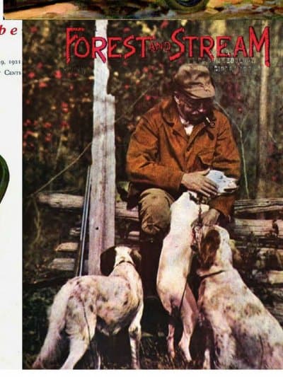 Vintage cover: Forest and Stream