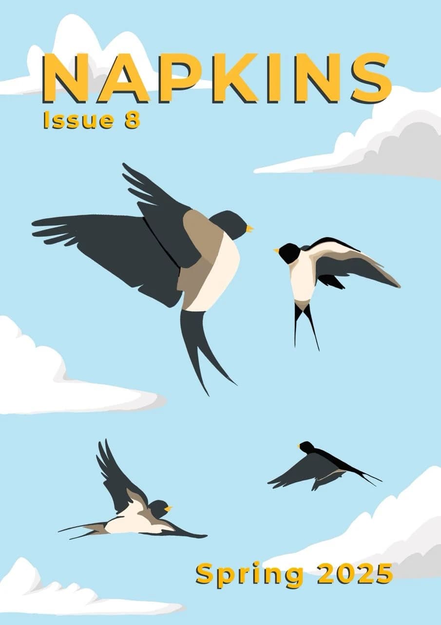 Napkins Issue 8 — Spring 2025 cover