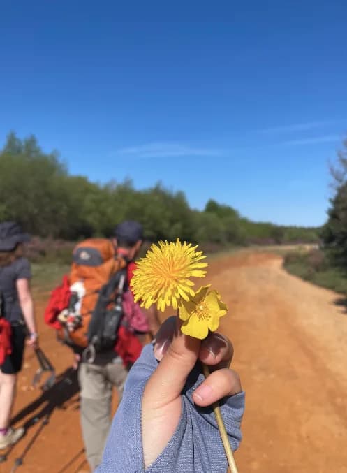 Camino is All About People