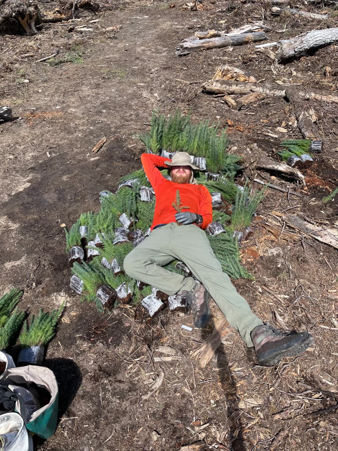 Bringing the Bush to You